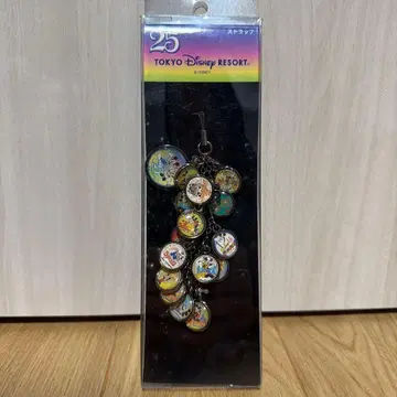 도쿄 디즈니 리조트 25주년 기념 키링