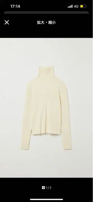 Eaphi RANDOM RIB TURTLENECK KNIT