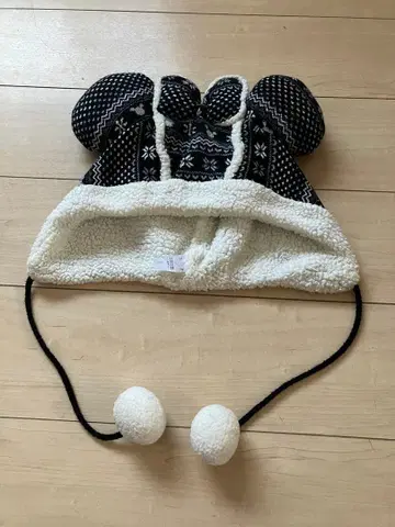 TDR 미니 팬캡 노르딕 블랙 1