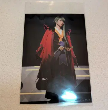 에이스테 브로마이드 치카게