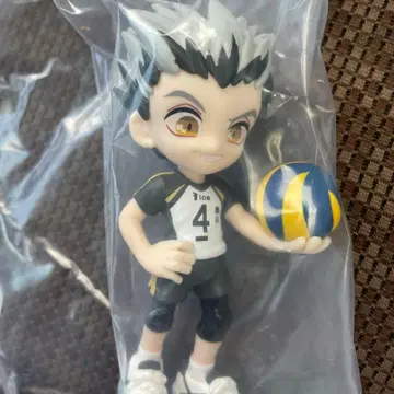 팔버스 하이큐 보쿠토 코타로