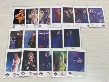 기사A 기사X 테루토군 포토 카드 17장 세트