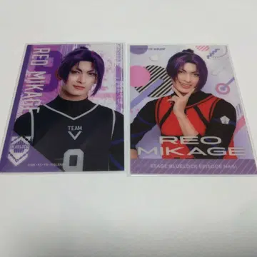 5 레오 블루스테 크리카