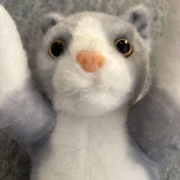 터치! ZOO 하치와레 고양이