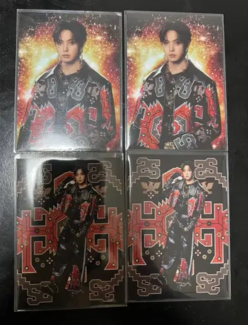 호리 나츠키 EXILE 포토 카드 4점 익명 배송