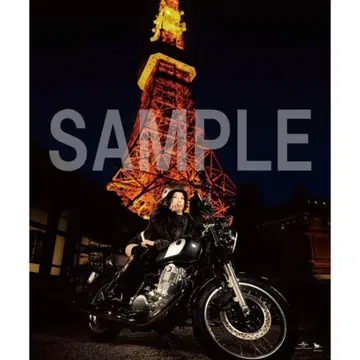 시이나 링고 고양이 눈 신주쿠점 한정판 B2 포스터