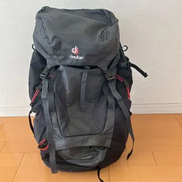 deuter Futura Pro 34 SL 그레이 핑크