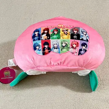 컬러풀 피치 티슈 케이스 카라피치 시마무라