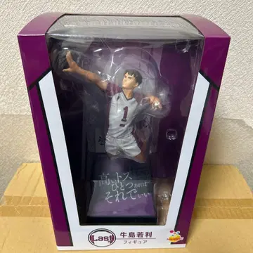 익명 배송 배송비 포함 하이큐!! Last상 우시지마 와카토시 피규어