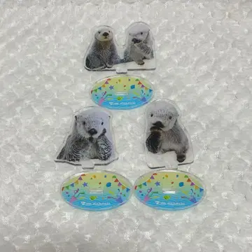 도바 수족관 랏코 가챠가챠