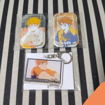 하이큐 히나타 세븐넷 캔뱃지 오프샷 아크릴 키링 10주년