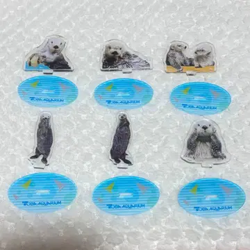 도바 수족관 가챠가챠 랏코