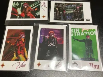 KnightX 기사X 바우군 포토 카드