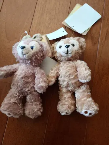 택 포함 닷피 2체 세트