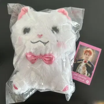 초특급 타카시 생일 굿즈 봉제 인형 후레아짱