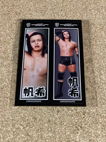 드래곤 게이트 호키 센샤후다 풍 씰