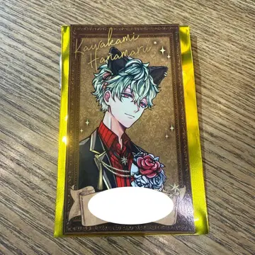 악마 고양이 난자 타운 입장 혜택 하나마루