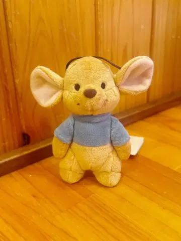 디즈니 스토어 스탠디즈 루 stanDs