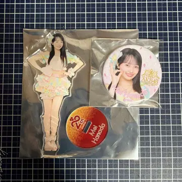 하나다 아이 무도관 SPECIAL 복권 아크릴 스탠드 & 캔뱃지