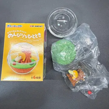 테라리움 컬렉션 한가로운 순간 코닥 리멘트