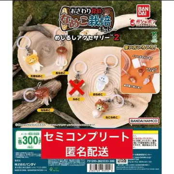 나메코 재배 키트 메지루시 액세서리 2 세미 컴플리트