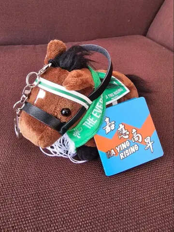 카 인 라이징 홍콩 지 에베레스트 키체인 홍콩 국제 일본 미발매