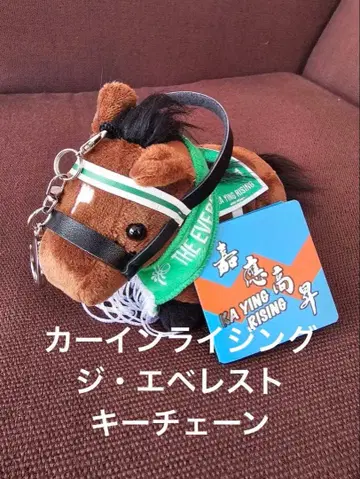 카 인 라이징 홍콩 지 에베레스트 키체인 홍콩 국제 일본 미발매