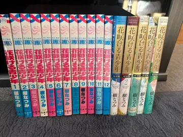 꽃 피는 소년 전 12권 특별편 전 5권 합계 17권