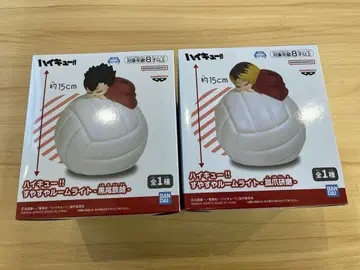 하이큐 2종 수면 룸 라이트