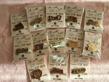 간사이 칠색 남자 대축제 역대 투어 로고 핀 배지 총 13개