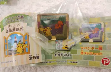 금 도금 레어 포켓몬 지역 한정 핀즈 홋카이도 한정 후라노 로콘 핀 배지