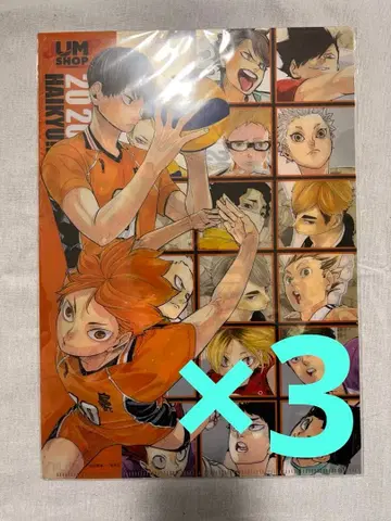 하이큐 클리어 파일 기간 한정 점포 한정판 ver