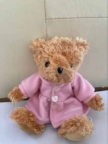 렉서스 베어 LEXUS