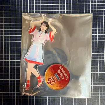 야마우치 미즈키 부도칸 SPECIAL 복권 아크릴 스탠드