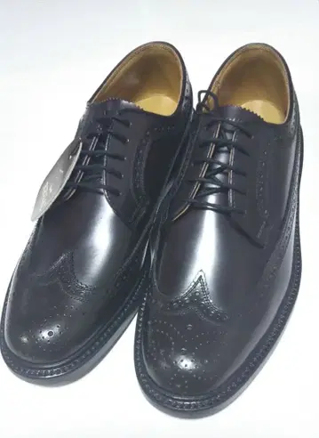 새상품 미사용 REGAL 윙 칩 25 브라운