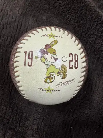 도쿄 데이즈니랜드 미키마우스 공