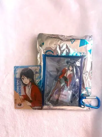 스시로 프로세카 멀티 파우치 호시노 이치카 카드 세트