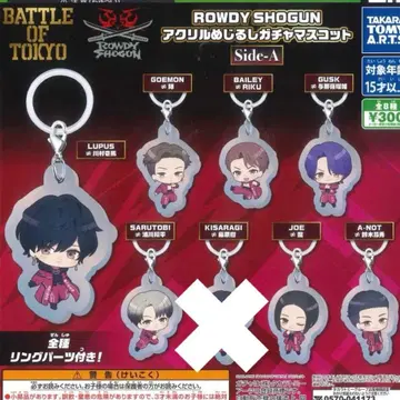 BOT 아크릴 메지루시 액세서리 세트