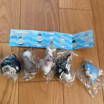 카모가와 씨월드 가챠가챠 컴프 우사마루 우사코