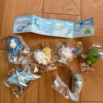 오키나와츄라우미 수족관 가챠가챠 컴프 우사마루