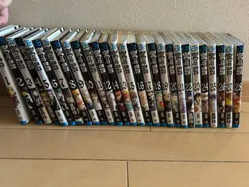 D.Gray-man 디-그레이맨 1~28권