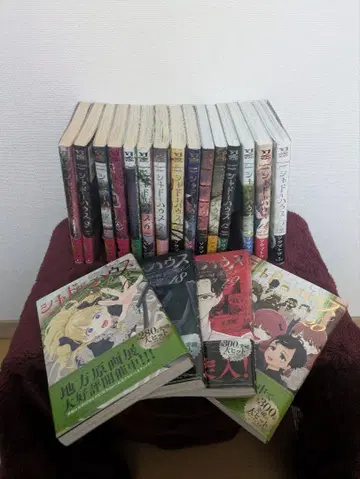 섀도우 하우스 1~15권, 17~20권 세트