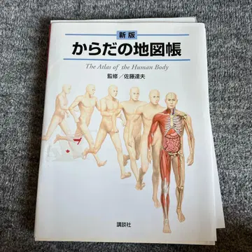 재단된 신판 몸의 지도책