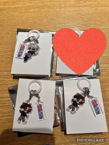 스트그라 경찰 버디 PUS 표식 참