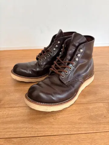 레드윙 아이리쉬 세터 8160 REDWING 브라운 개택