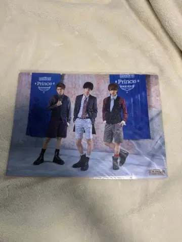 프린스 클리어 파일 서머 스테이션