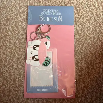 seventeen be the sun 트레이딩 카드 케이스 봉봉이