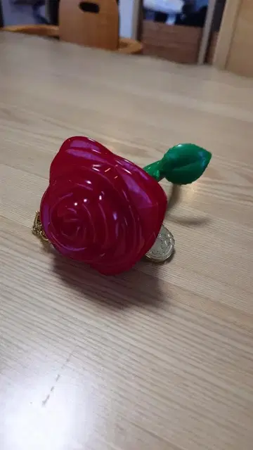 디즈니랜드 미녀와 야수 라이트