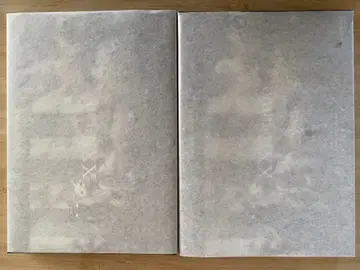 새상품 치토세리움 타니오 화이트 블랙 세트 프라모델 고양이 alb atr