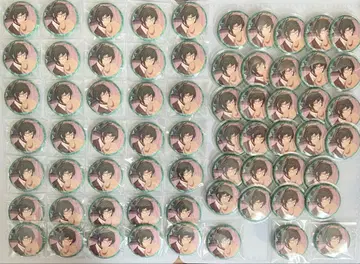 아이나나 캔뱃지 테디 발렌타인 니카이도 야마토 66개